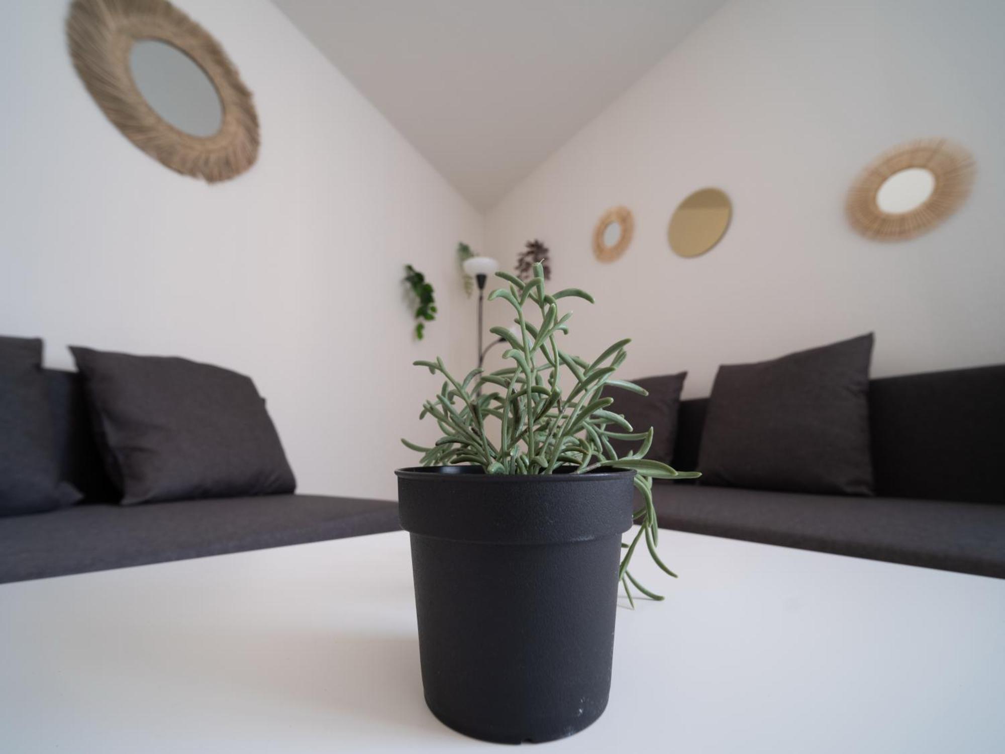 Appartement Tout Equipe A 6Min De La Gare St Charles Marsilya Dış mekan fotoğraf